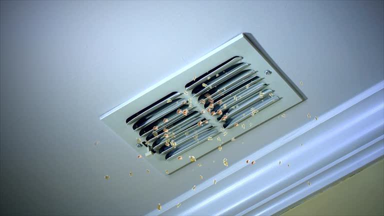 Best Air Duct Mold Removal  in Wanatah, IN