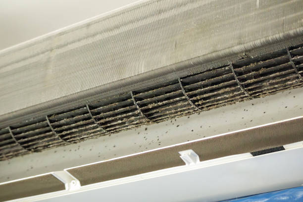 Best Ventilation Cleaning Services  in Wanatah, IN